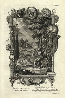 scheuchzer kupfer-bibel
