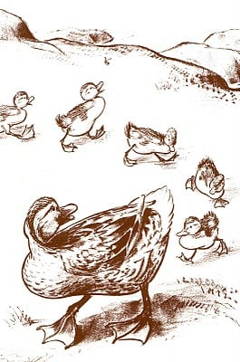 make_way_for_ducklings_mccloskey