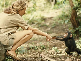 Jane Goodall and Chimp