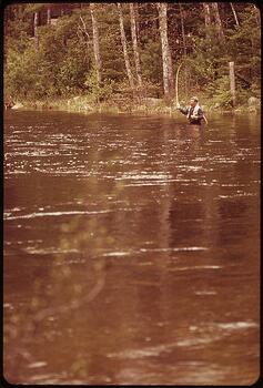 FLY_FISHERMAN_CASTING_FOR_SALMON_PD