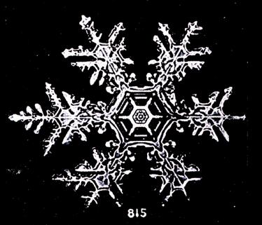 Bentley_Snowflake_3