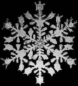 Bentley_Snowflake_4