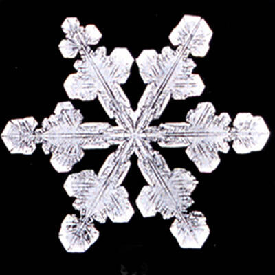 Bentley_Snowflake_6