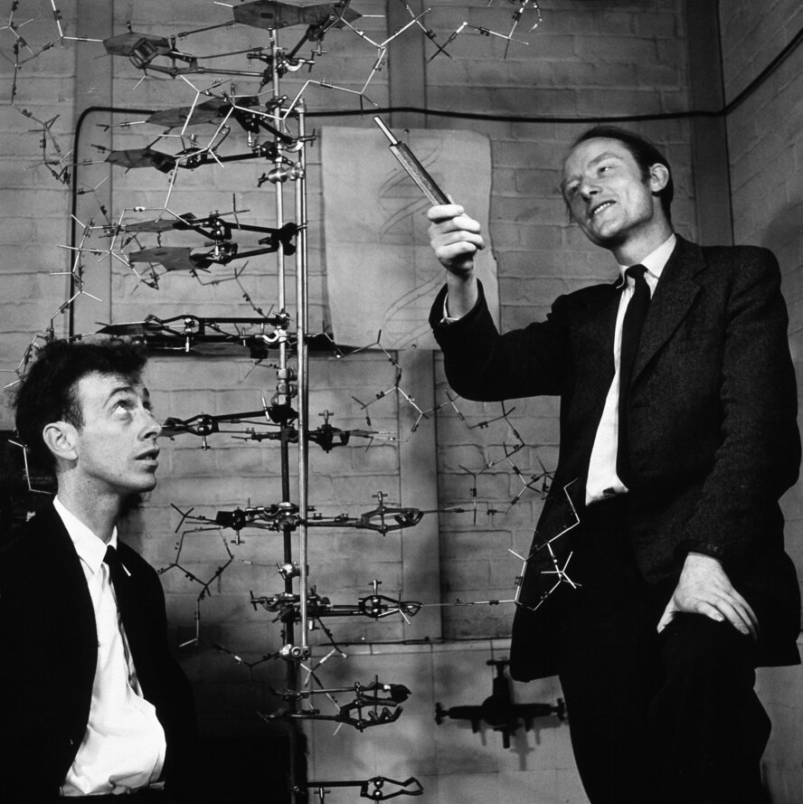 Watson and Crick: Controversy, Immodesty, DNA, and Books.