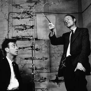 watson and crick