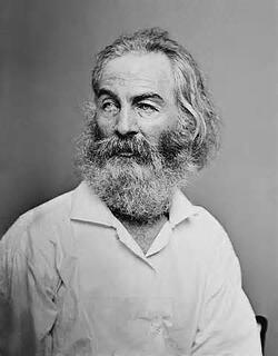 Whitman