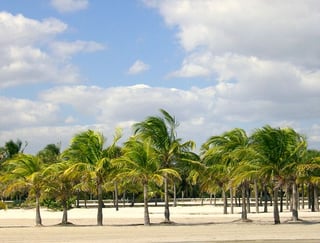 632px-Crandon_Park_Modified.jpg