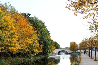 Ailesbury_Road_Dublin_Ireland_PD.jpg