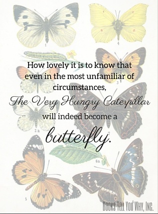 Butterfly-1.jpg
