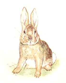 Fierce_Bad_Rabbit_beatrix_potter