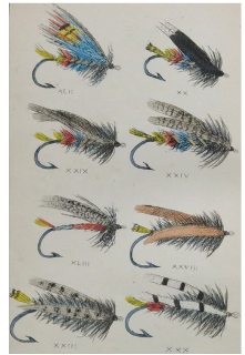 Full Color Plate of Nineteenth Century Trout Flies