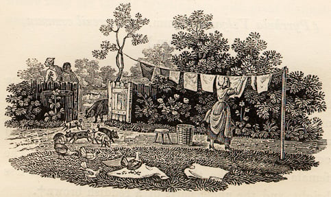 Hanging_Washing_with_Pigs_and_Chickens_tail-piece_in_Bewick_British_Birds_1797-1.jpg