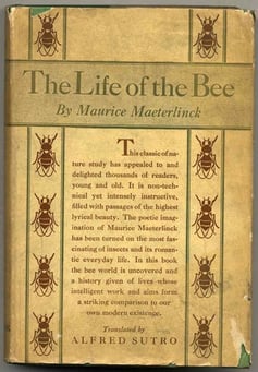 Life_of_the_bee