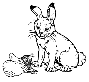 mitten_coloring_page_rabbit